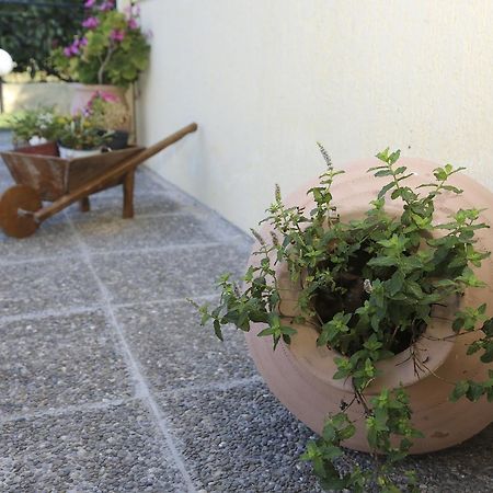 Coral Hotel Plomari エクステリア 写真